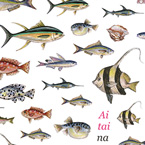 DAISY プロデュース fish colorful(フィッシュ　カラフル)
