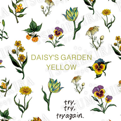 DAISY プロデュース5 DAISY'S GARDEN YELLOW 黄色