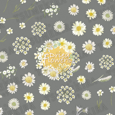 Dried flowers <白> ネイルシール