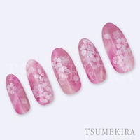 平山愛 プロデュース 淡雪桜(アワユキザクラ)