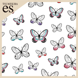 【es】 蝶〈スカシジャノメ〉Butterfly