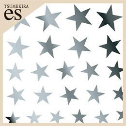 【es】 メタリックスター シルバー (ジェル専用)