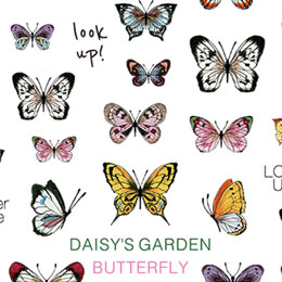 DAISY プロデュース10 DAISY'S GARDEN BUTTERFLY　(蝶)