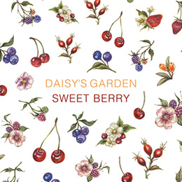 DAISY プロデュース17 DAISY'S GARDEN SWEET BERRY(スイートベリー)