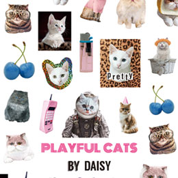 DOG×DAISY プロデュース2 PLAYFUL CATS