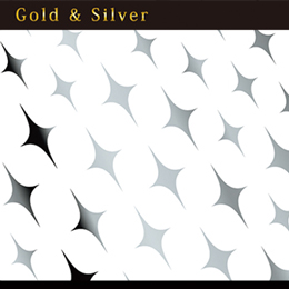 KAI produce Sparkly silver (ジェル専用)(スパークリー シルバー)