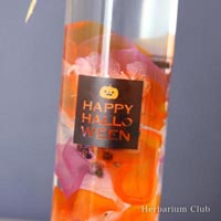 【ハーバリウム ボトルラベルシール】 Halloween　ハロウィン
