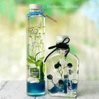 【ハーバリウムボトルラベルシール】Herbarium　白