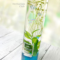 【ハーバリウムボトルラベルシール】Herbarium　白