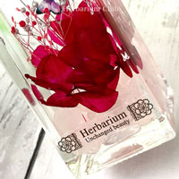 【ハーバリウムボトルラベルシール】Herbarium　黒