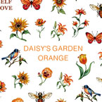 DAISY プロデュース14 DAISY'S GARDEN ORANGE