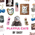 DOG×DAISY プロデュース2 PLAYFUL CATS