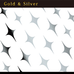 KAI produce Sparkly silver (ジェル専用)(スパークリー シルバー)