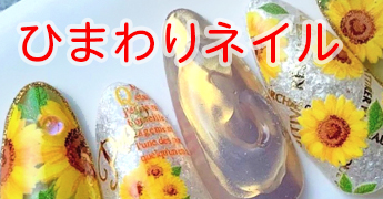 ひまわり